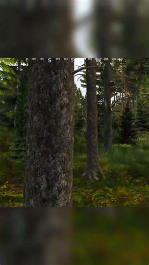 338 #dayzgamers #gaming #dayzmod #twitch #gameplay #streamer #deutsch