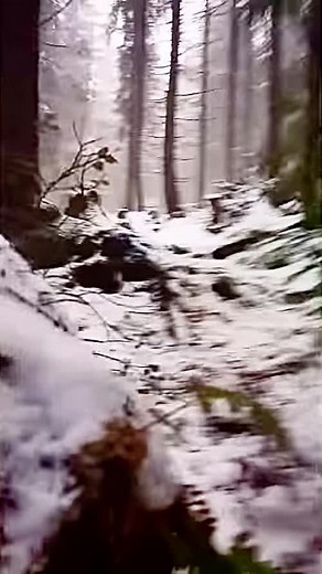 #parkour #yeti #bigfoot #fallingdownhill | bigfoot