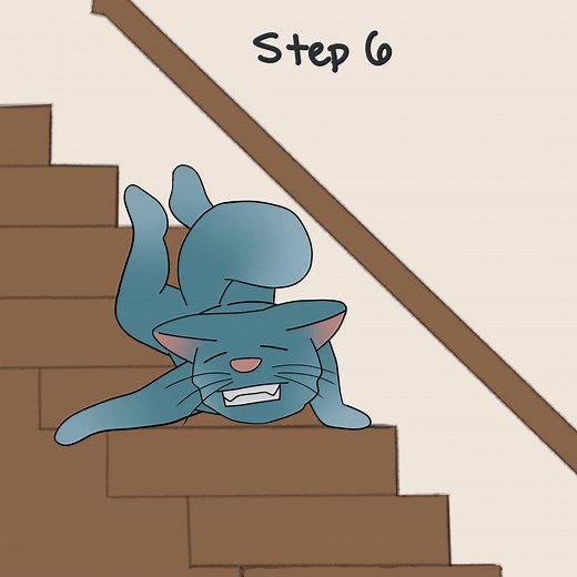 TacoTheCat on TikTok