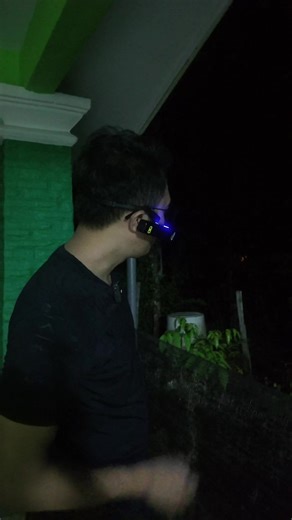 Exploring the Impact of Garden Lighting at Night