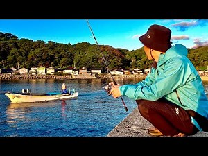 [Big catches in succession] A miracle happened after a fisherman's boat passed by!