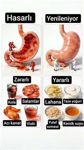 👉 Mideyi Mahveden ve Onaran Yiyecekler