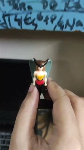 Hawkgirl ❤️ #dc #dccomics #dcuniverse #hawkgirl #dccharacters #fyp #figure #collection #collector