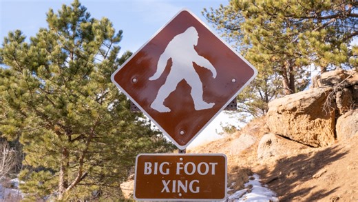 Bigfoot Evidence Found Following A Sighting In Oregon & Stories From OutKick Readers