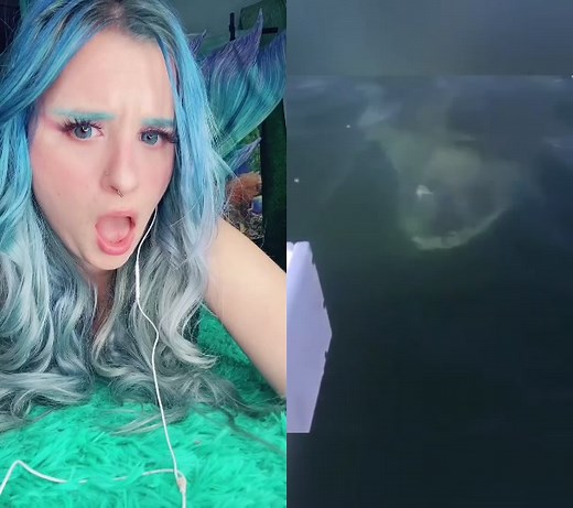 #duet with @theworldexplorer1 am I the only one that wants to get closer? 😅 #CareerAdvice #mermaids #mermaid #bluehair #ocean #swim #siren #shark