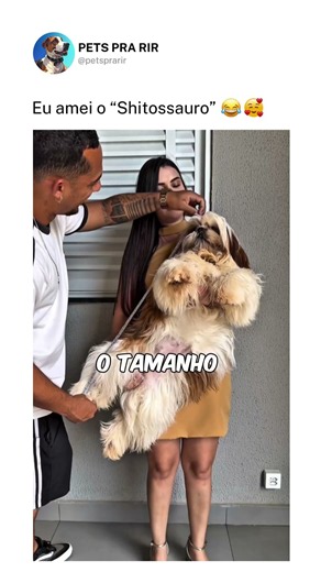 Eu amei o “Shitossauro” ❤️🤯
