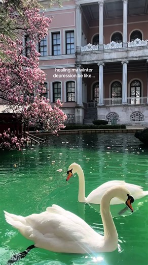 couldn’t be more excited to finally get out of my winter depression era into blooming spring weather 🌸⭐️💒💐 How about you? #fyp #spring #smallcreatorsupport #traveltok #winterisover