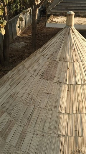 2.4K views · 186 reactions | You’re looking at Villa Philippe’s new swimming pool sala.  Designed & built by: Chiang Mai Life Architects & Chiang Mai Life Construction #bamboo #bamboohouse #thaihouses #sustainablearchitecture #bambooarchitecture #lifearchitecture #swimmingpoolsala #bamboosala #thaihomes #bamboocreations #residentialdesigner | Chiangmai Life Architects & Construction CLA & CLC | Facebook