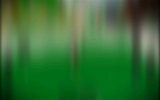 roblox cw (战斗勇士) 一个菜鸟的发癫