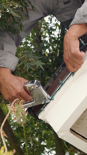 🪜 Skip the ladder this season! Let our holiday light team transform your home safely and beautifully. 🎁 | San Joaquin Pest Control of Fresno