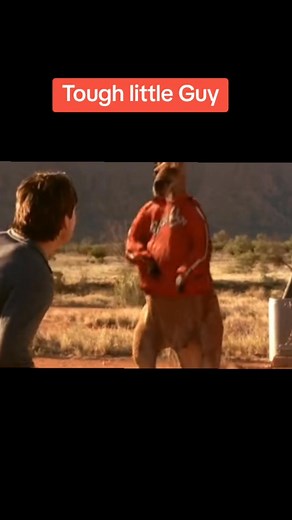 Kangaroo Jack: " You are tough little Guy | Kagoboy Daily