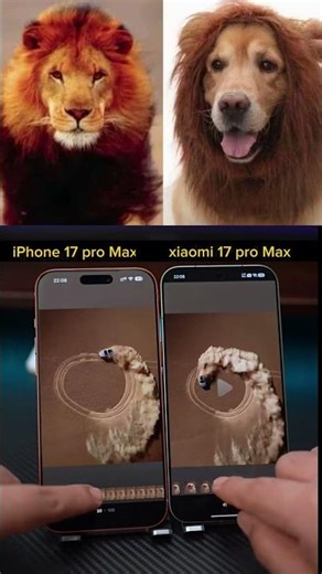 iphone vs android 😂