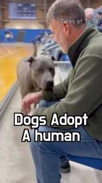 A hopeful day at the adoption event #animal #dog #adoption