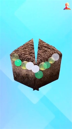 ORBEEZ under soil | science experiment #science #experiment