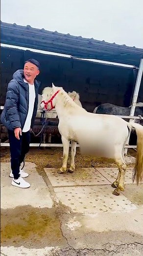 From foal to friend — the journey begins 🐎❤️