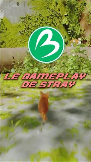 Le gameplay de stray #stray #jeuxvidéo #chat #pourtoi #viral #viralshorts #gaming #games #france