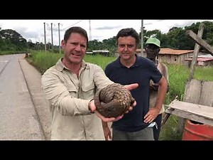 Gabon Untouched and Extreme explorer Steve Backshall Epic Expedition.