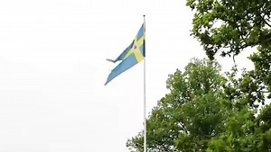 From Haga Palace, the Crown Princess family wishes everyone a happy National Day💕🇸🇪🎉 ~ Från Haga slott önskar Kronprinsessfamiljen alla en glad nationaldag💕🇸🇪🎉 ©️ Kungliga Hovstaterna #CrownPrincessVictoria #KronprinsessanVictoria #PrinceDaniel #PrinsDaniel #PrincessEstelle #PrinsessanEstelle #PrinceOscar #PrinsOscar #swedishroyalfamily #swedishroyals #kungafamiljen #kungahuset #royals #royalchildren #royalkids #swedishnationalday | Royal Watcher