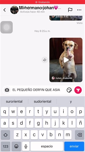 El pequeño delfín que hacía stickers