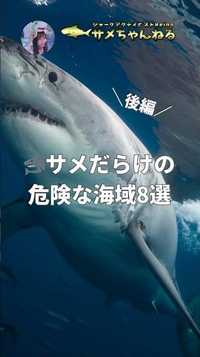 【後編】サメだらけの危険な海域8選 #シャークアタック #サメ事故