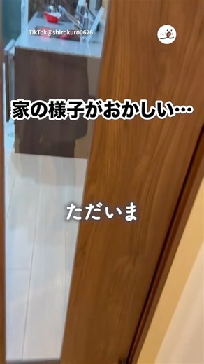 The cat tower looked like so much fun, so…🐶🤣｜PECO