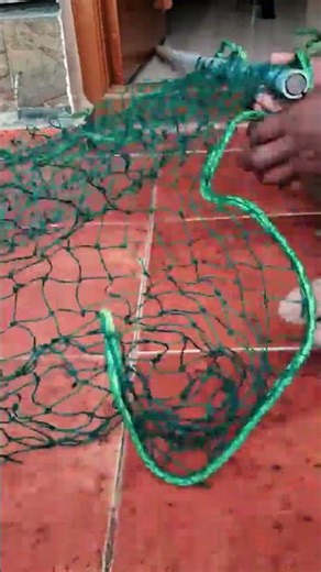 How I Built a Creeper Plant Net in My Backyard 🌿 Bangalore Garden #trending #gardening #shorts #diy