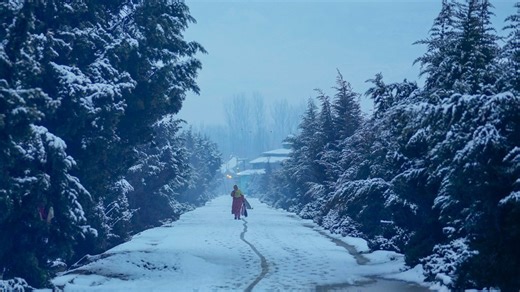 Fresh snowfall in Kashmir turns the valley into winter wonderland