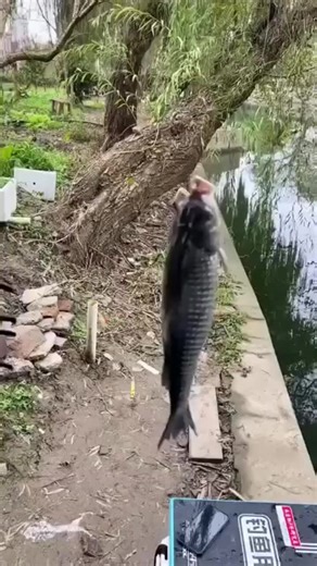 Fishing Pliers Gripper Metal Fish Control Clamp Claw Tong Grip Forceps for Catch Fish Fishing Accessories