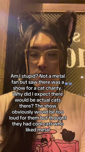 Or like they’d be outside or something 😭 #cats #metal | cats