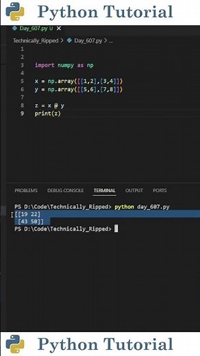 Matrix Multiplication With Numpy | Python Tutorial