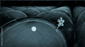 Insulin, molecule, mechanism of action of insulin, glucose, Human Insulin, structure of the molecule