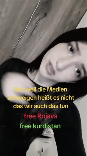 Understanding the Rojava Revolution and Kurdish Rights