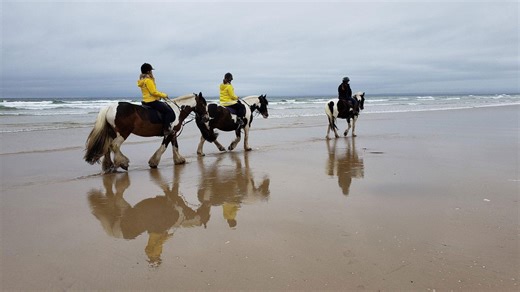 Best of the Beach | Watch online at WTTW.com