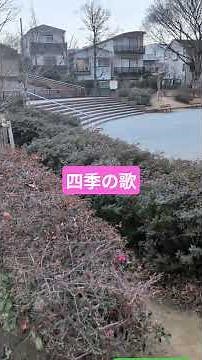 四季の歌 #芹洋子