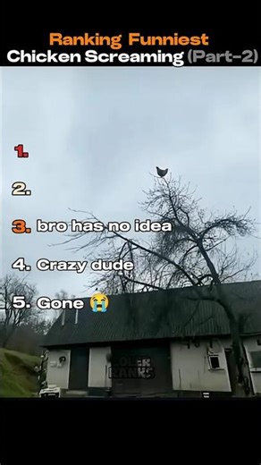 Ranking Funniest Chicken Screaming Part 2