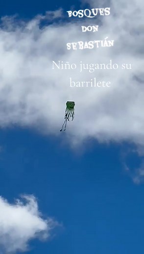 Diego Herrera on Reels