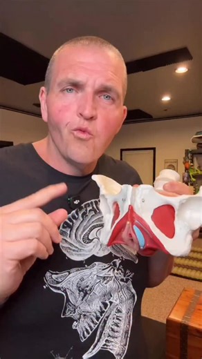 Body count seems to be a never ending mythbusting session for me. Let’s go over some basic anatomy! #anatomy #science #medical | SCI Body Therapy