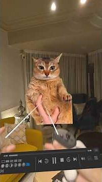 How to see Passthrough videos on Virtual Desktop!