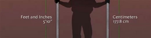 3ds Max 1-Minute Essentials - Working with Scale