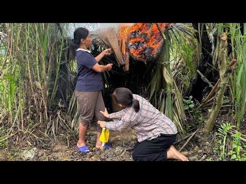 Unfortunate single mother: constantly confused - has the baby arrived yet?