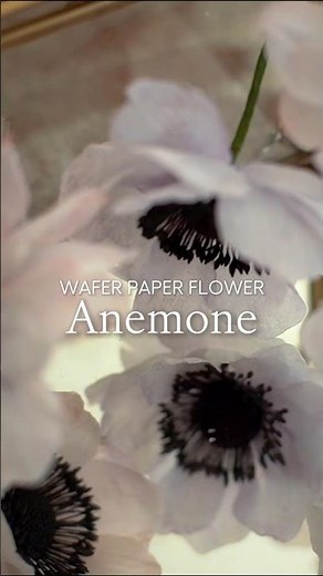 Wafer Paper Anemone Flowers - Tutorial Inside #ekatsclub