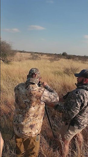 Hunting Roan Antelope in the Northern Cape of South Africa