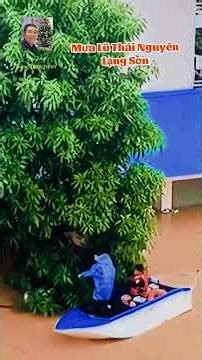 Hình Ảnh Mưa Lũ Thái Nguyên Và Lạng Sơn