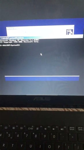OllieXP (Tiny 11 Style Windows XP SP0) is almost installed!