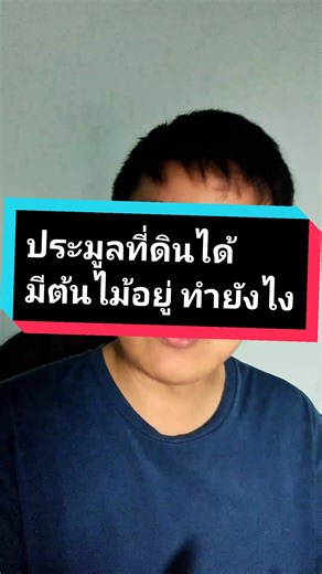 การประมูลที่ดินที่มีต้นยางพารา: ขั้นตอนและข้อควรระวัง