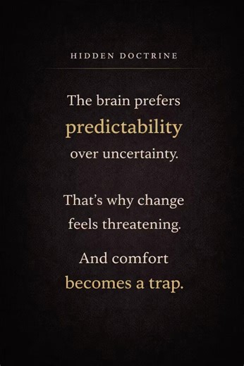 Predictability Is The Real Comfort #psychology #humanbehavior #shorts #mindset