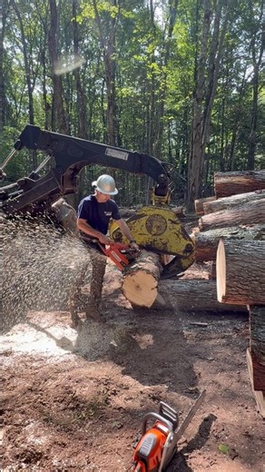 Billy Bucking With the Legendary 288XP Lite Makes Quick Work of Maple