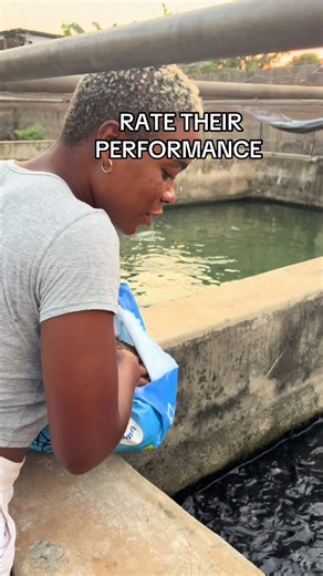 Urban Farming Techniques for Effective Aquaculture