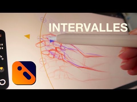 Your intervals simplified with the Interval Assistant | Callipeg, 2D animation on iPad