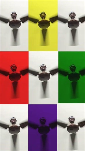 🔥 Next-Level Ceiling Fan Designs #trendingshorts #viralvideo